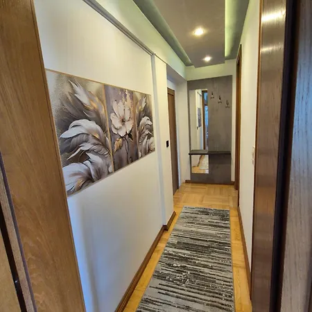 Apartment Promenada Grujic Vrnjacka Banja